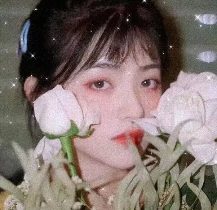 凶猫