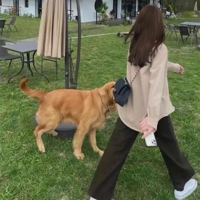当星光结束